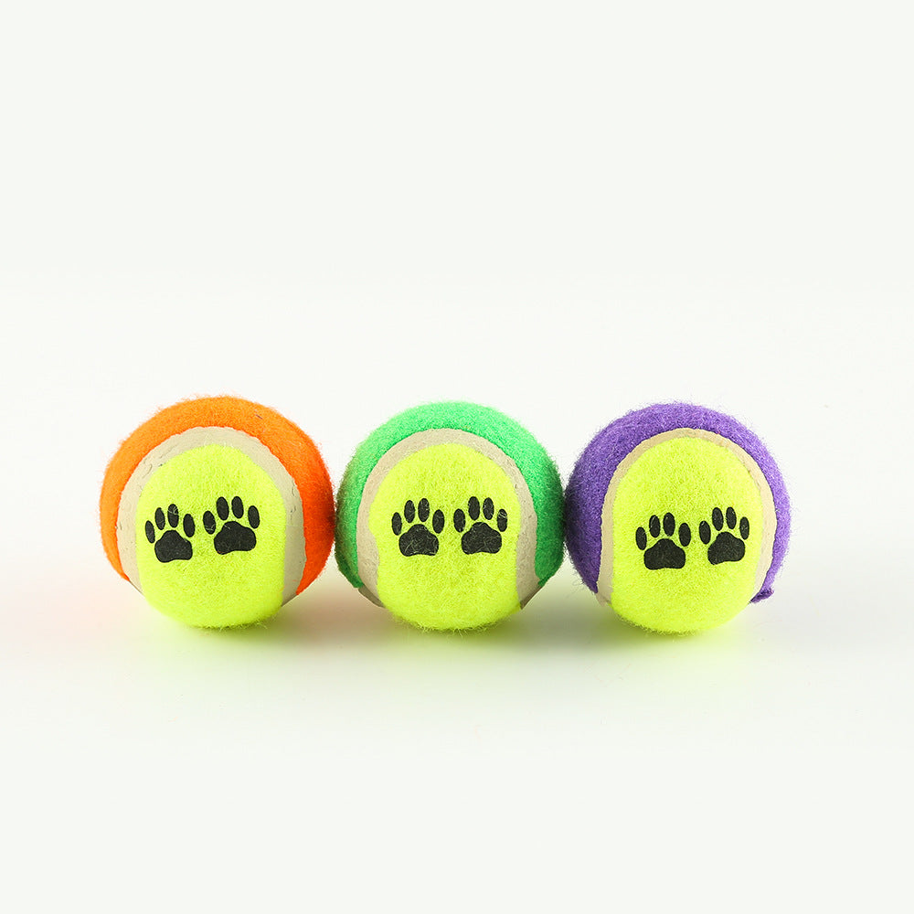 Durable Fetch & Training Toy