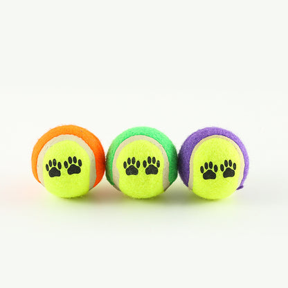 Durable Fetch & Training Toy