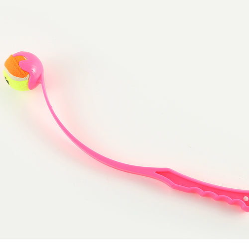 Durable Fetch & Training Toy