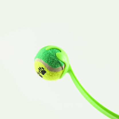 Durable Fetch & Training Toy